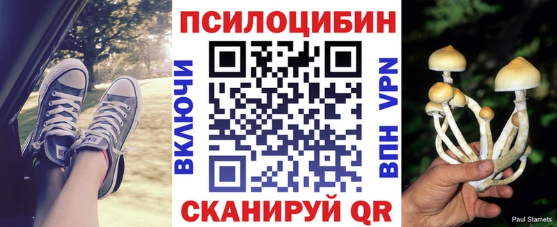 Псилоцибиновые грибы Psilocybine cubensis  где продают   Алатырь 